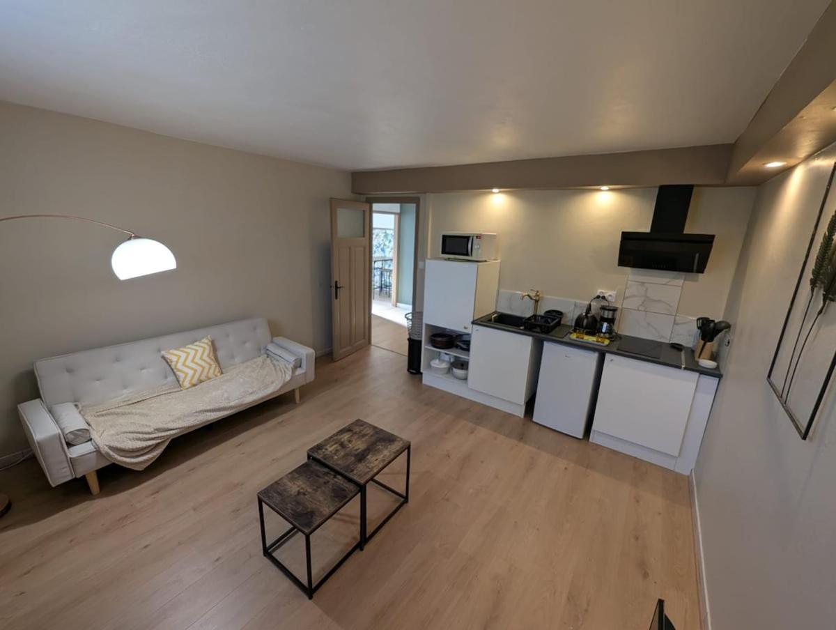Appartement Verdoyant Au Bord Du Lac Leman Entre Evian Et Thonon Dans Une Villa Publier Buitenkant foto