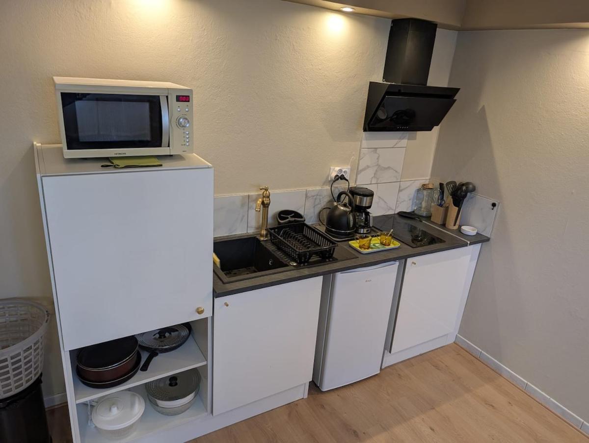 Appartement Verdoyant Au Bord Du Lac Leman Entre Evian Et Thonon Dans Une Villa Publier Buitenkant foto