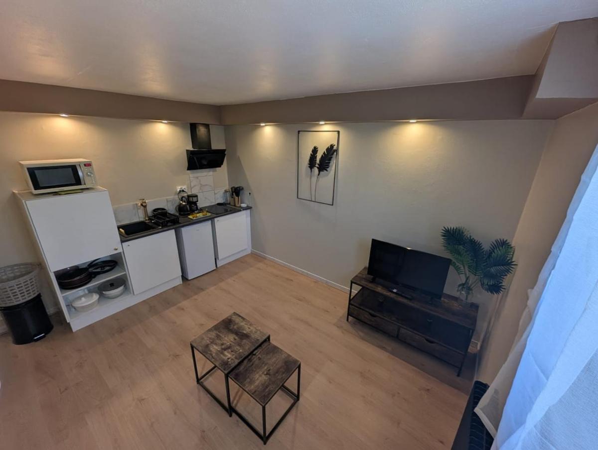 Appartement Verdoyant Au Bord Du Lac Leman Entre Evian Et Thonon Dans Une Villa Publier Buitenkant foto
