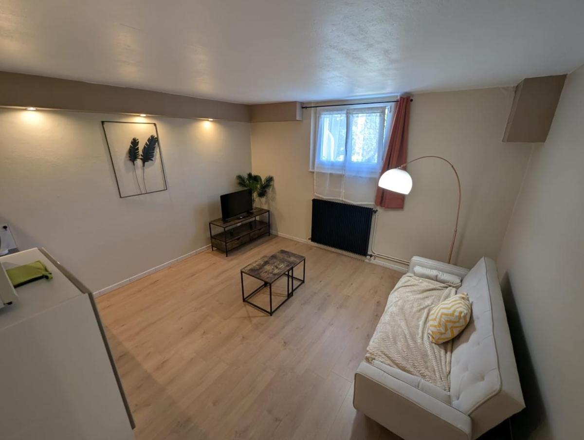 Appartement Verdoyant Au Bord Du Lac Leman Entre Evian Et Thonon Dans Une Villa Publier Buitenkant foto